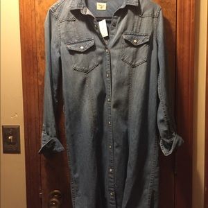 GAP Jean Dress